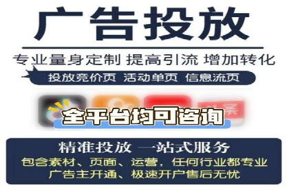 竞价端口开户后的广告投放策略案例
